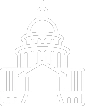 Government
